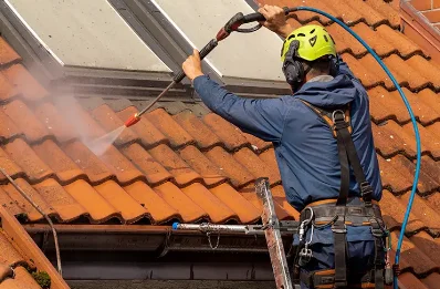 Démoussage et hydrofuge de toiture à Rogny